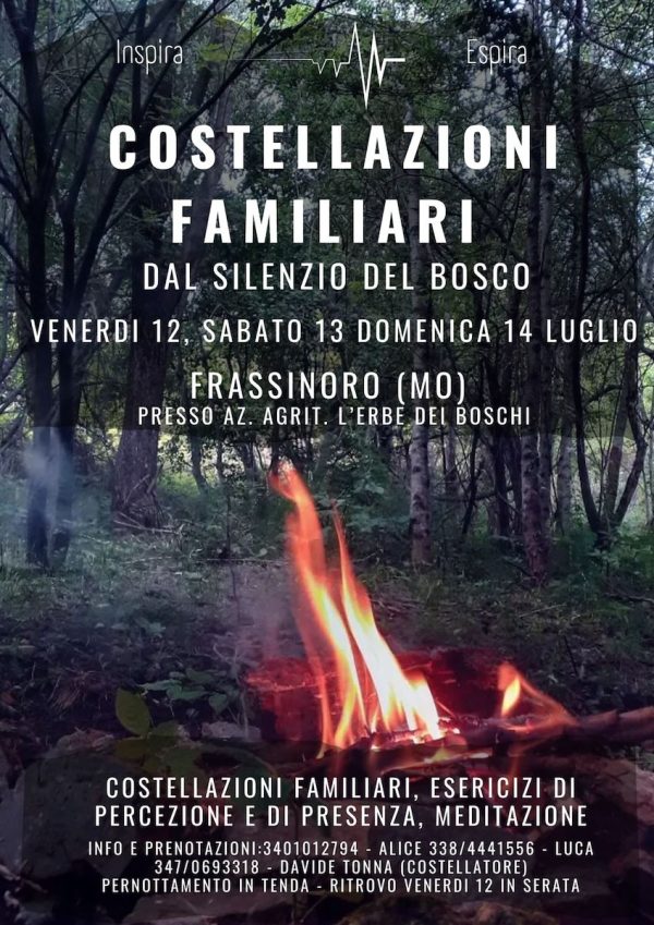 Nel silenzio del bosco: un fuoco acceso